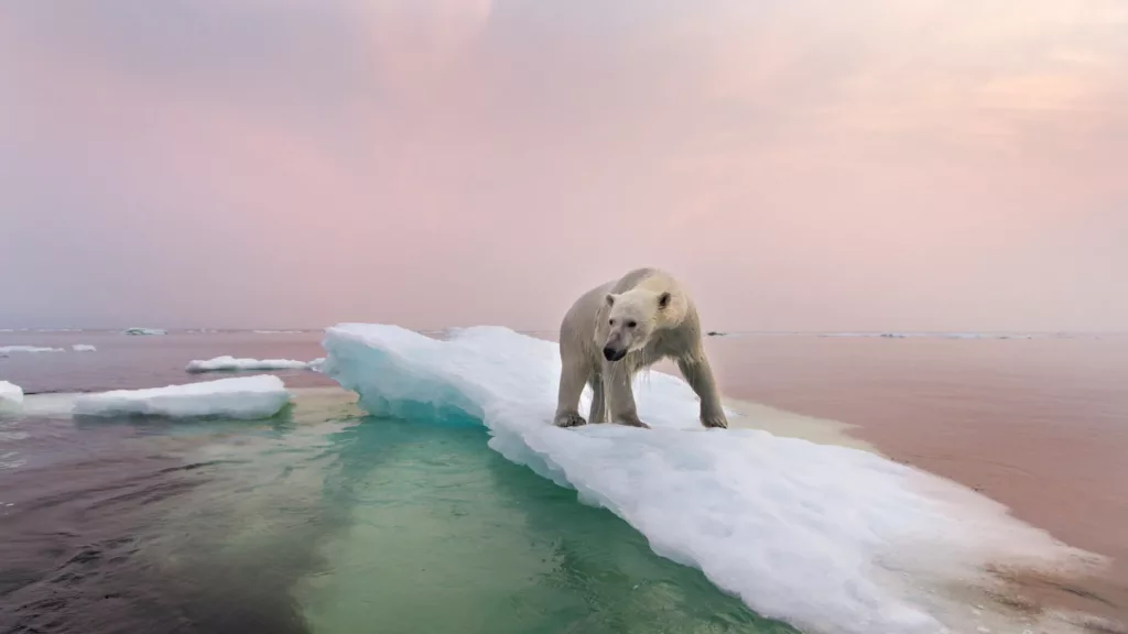 Il cambiamento climatico: leggiamo un po’